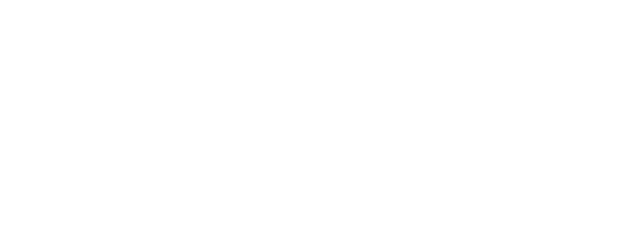 MAM4 de